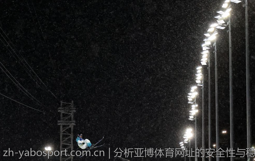 分析亚博体育网址的安全性与稳定性